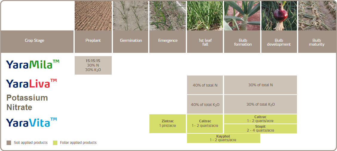 Onion Crop Nutrition Program