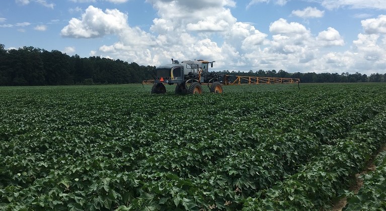 incubator farm auburn