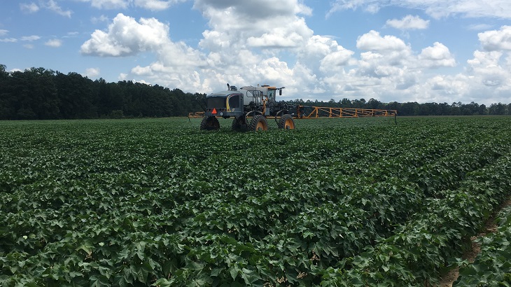 auburn farm, yaravita foliar on cotton first bloom