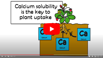 yaraliva-can-17-strawberry-video