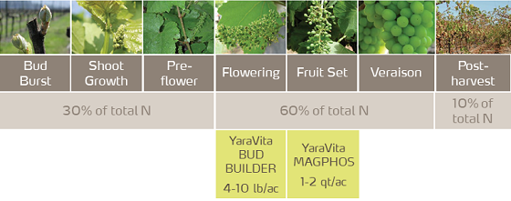 grape program edited.png