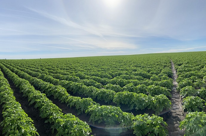 columbia basin incubator farm