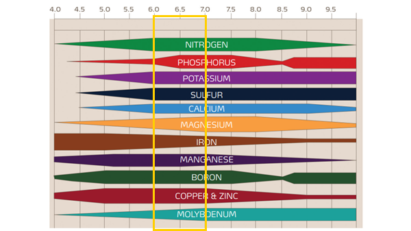 soil ph and nutrient availability diagram for turf.png