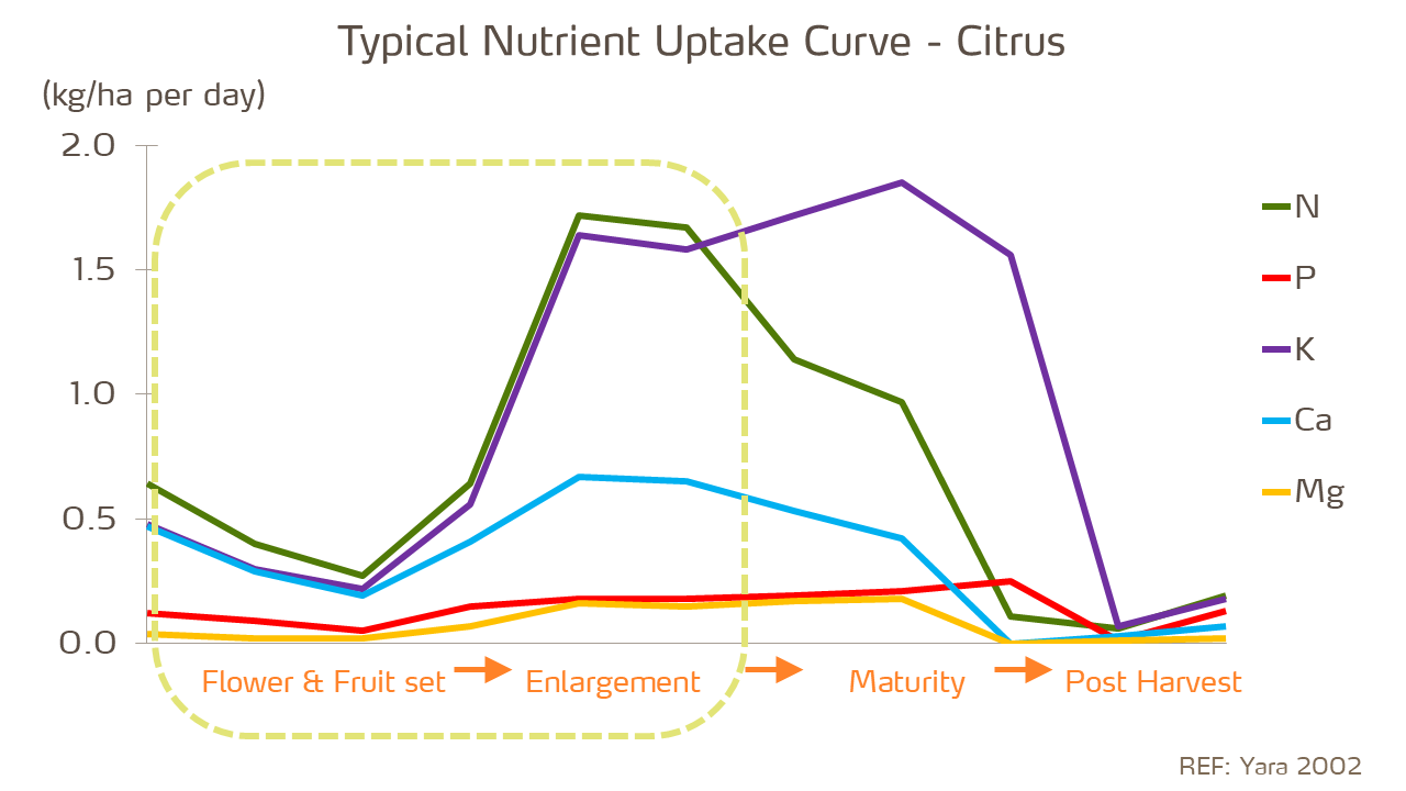 citrus typical nutrient uptake