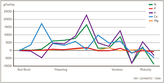 nutrient demand graph.png