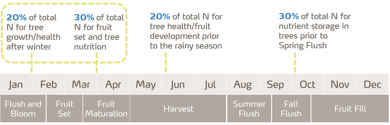 citrus crop stages and total n needs
