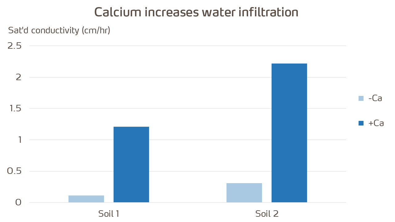 calcium increases water infiltration graph.png
