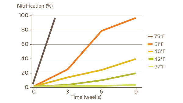 soil temperature effect on nitrification