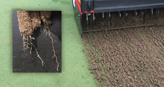 Aerification 1.jpg
