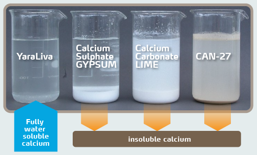calcium sources solubility.png