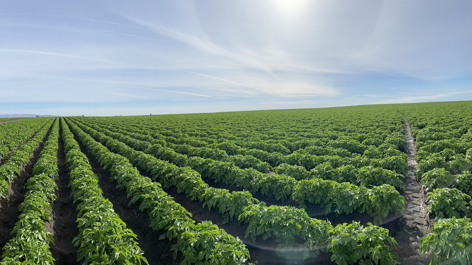 incubator farm columbia basin