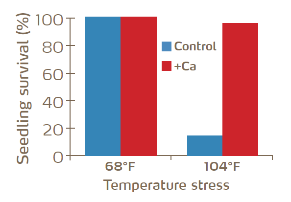heat stress graph seedling survival.PNG