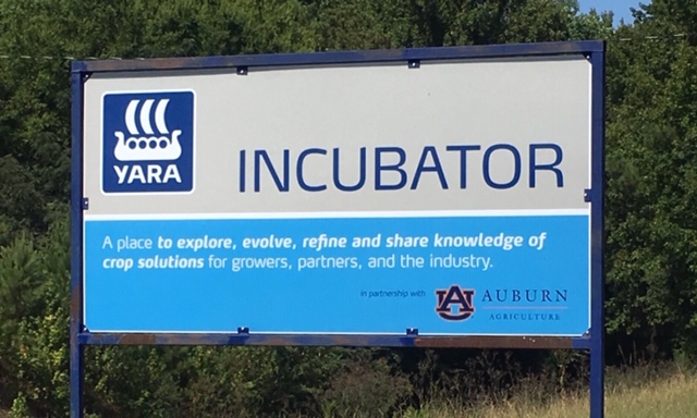 auburn incubator farm