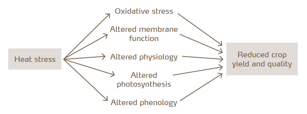 heat stress diagram.PNG
